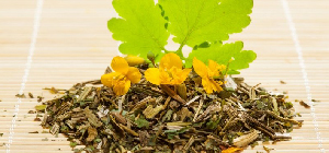 dried herb celandine